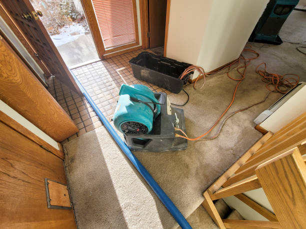 Best Water damage cleanup near me  in East Freehold, NJ