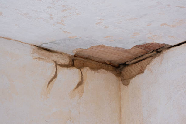 Best Water damage restoration near me  in East Freehold, NJ