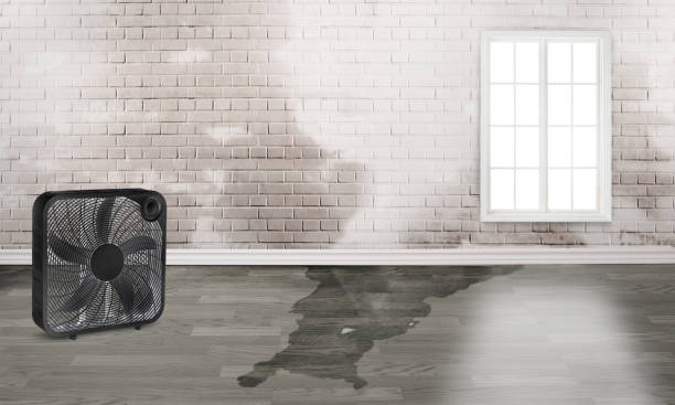 Best Commercial water damage restoration  in East Freehold, NJ