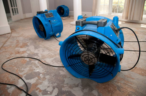 Best Commercial water damage restoration  in East Freehold, NJ
