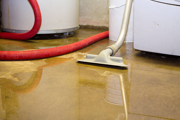 Best Basement water damage restoration  in East Freehold, NJ