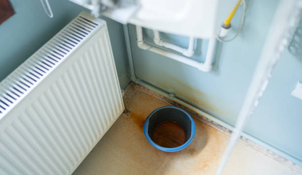 Best Water damage contractors near me  in East Freehold, NJ