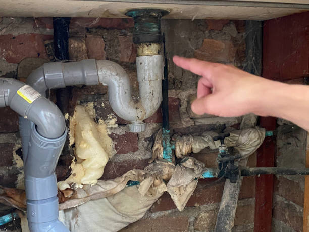 Best Local water damage restoration  in East Freehold, NJ