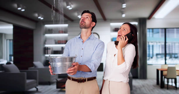 Best Water damage restoration near me  in East Freehold, NJ