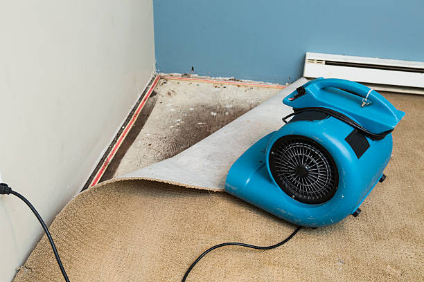  East Freehold, NJ Water damage restoration Pros